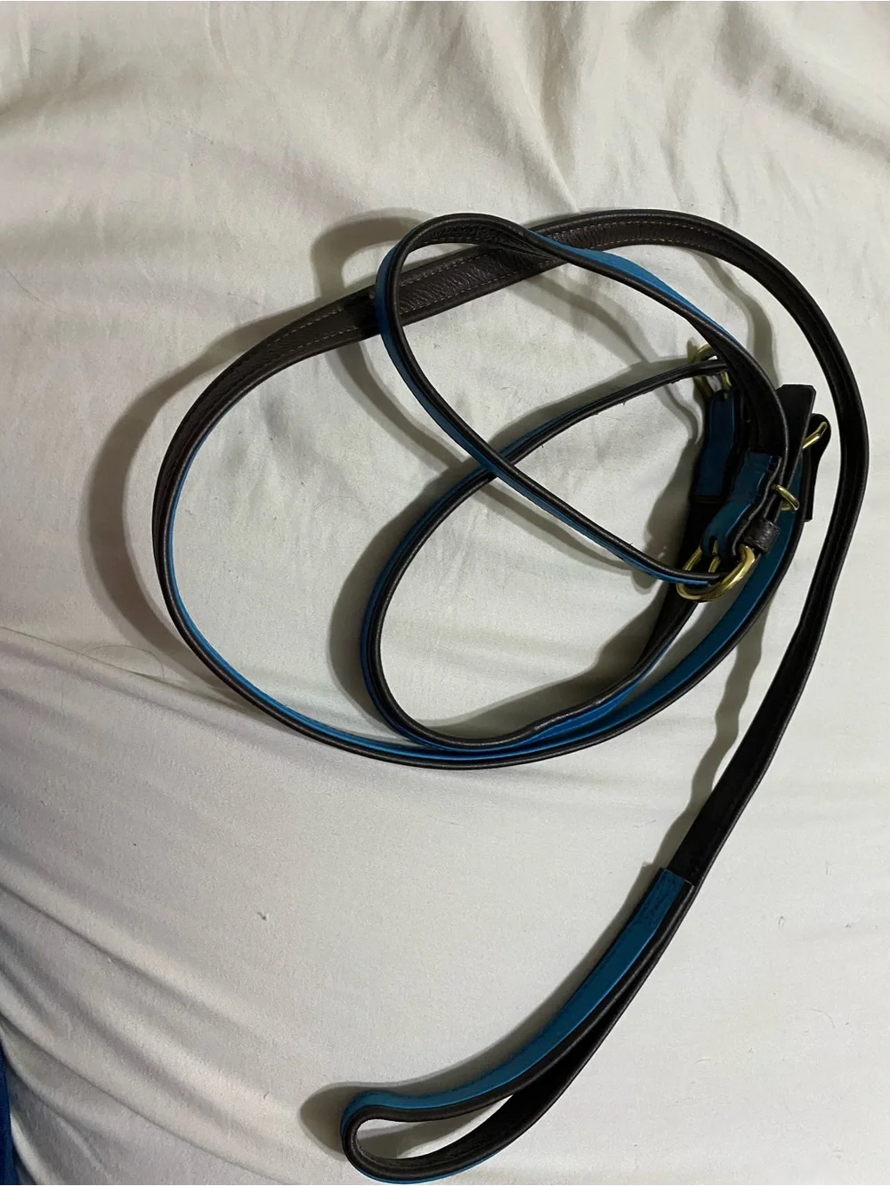 Two collars and one Classic Leather Dog Leash with Blue Edge Trim
